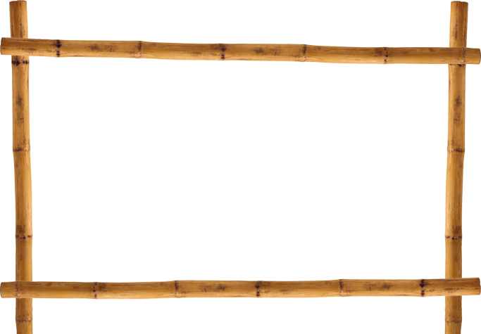bamboo.png